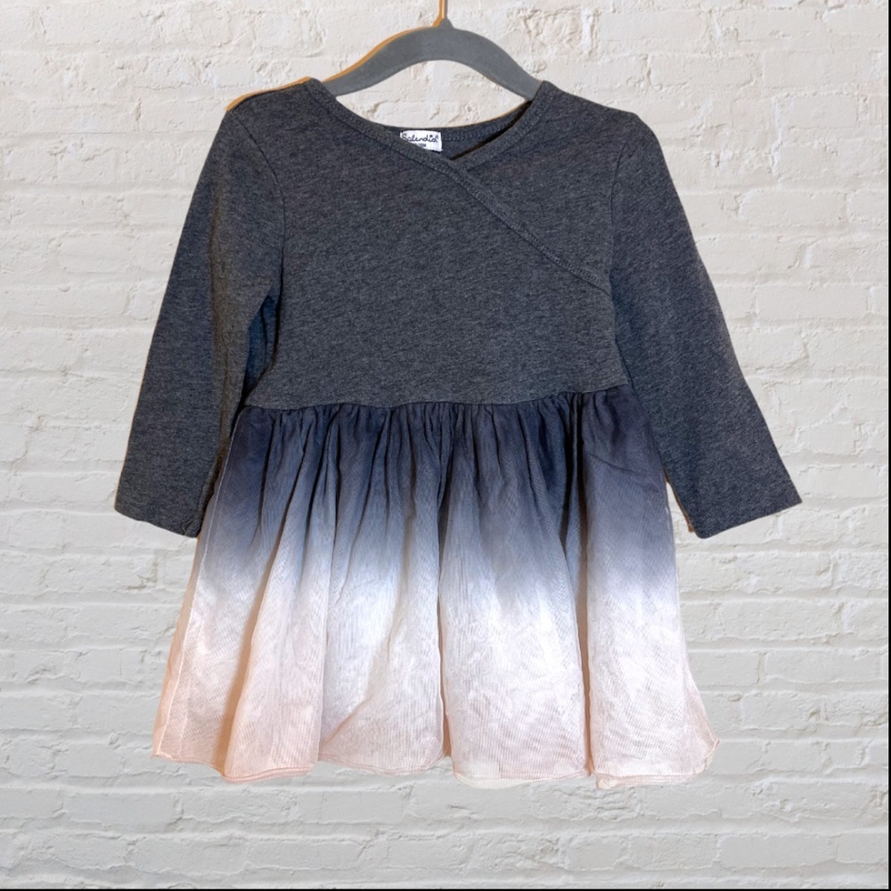 Splendid Dress With Ombre Tulle Skirt​